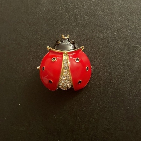 Macys ladybug 🐞 pin brooch - Picture 2 of 2